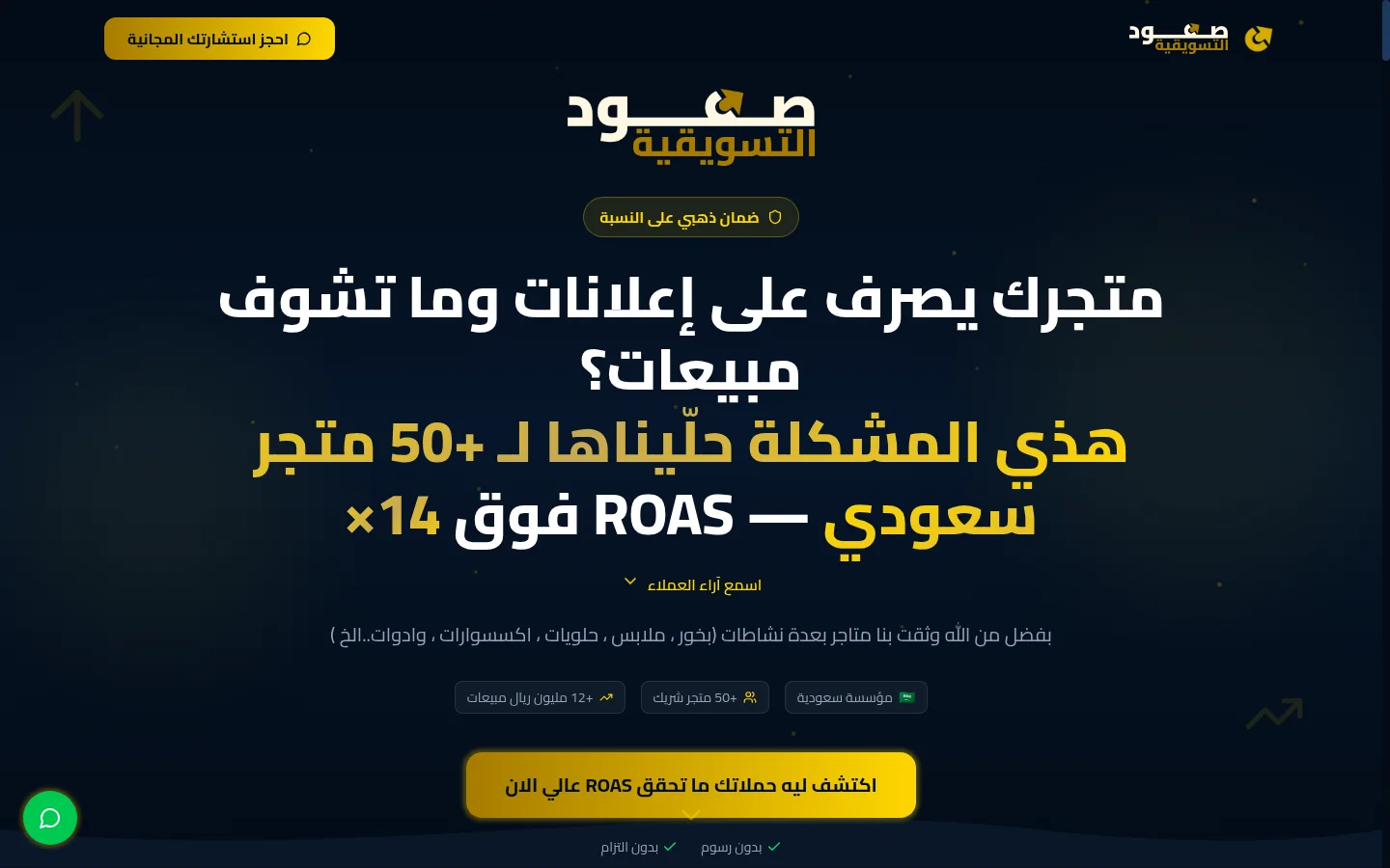 صعود - Digital Marketing Landing Page